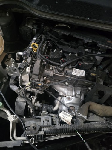 Xpjb motore ford fiesta - motore,