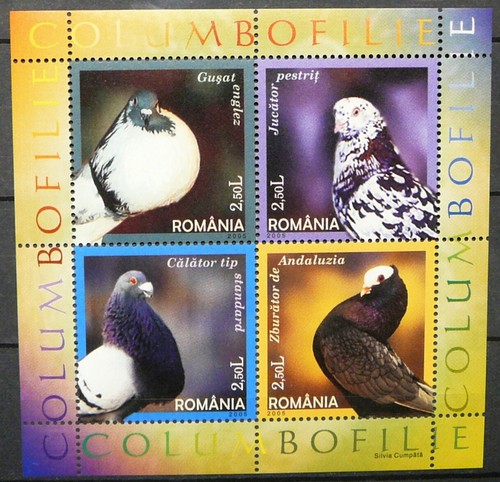 Foglio ricordo romania - foglio,