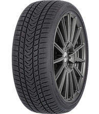 GRIPMAX PRO WINTER (Status und