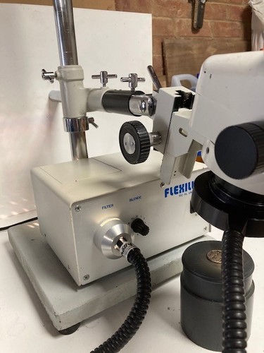 Microscopio zoom stereo