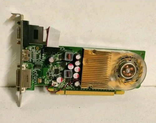 Pegatron scheda video nvidia - video,