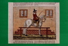 EQUITAZIONE Cavaliere a