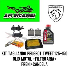 Kit tagliando peugeot tweet - kit,