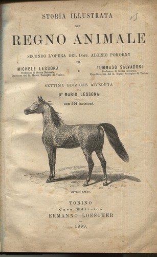 Storia illustrata del regno