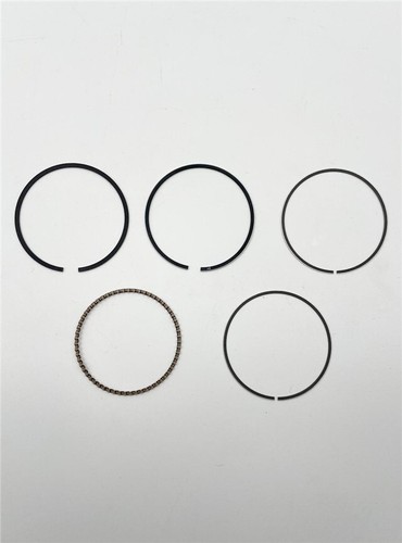 Anelli pistone pit - , bike