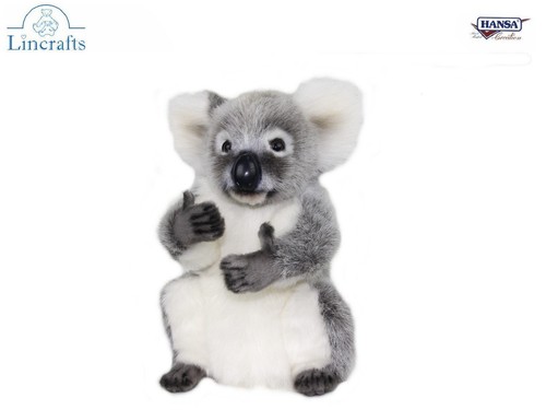 Peluche orso koala - orso,