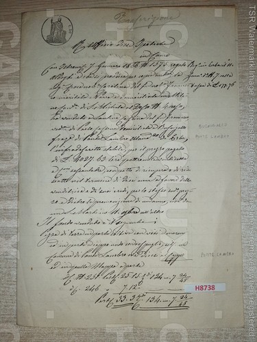 H8738 documento antico 1866 - documento,