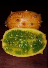 Pepino africano - Cucumis