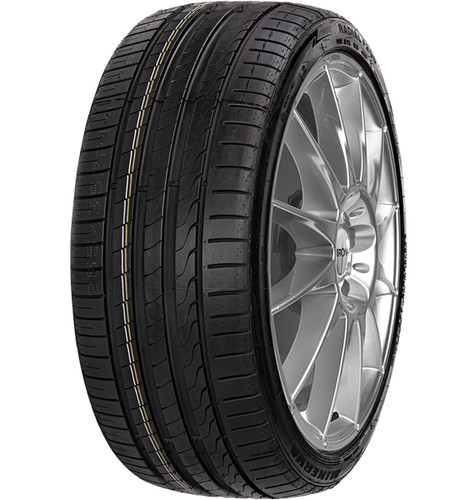 Minerva f205 245 r18 100 - 245/45,
