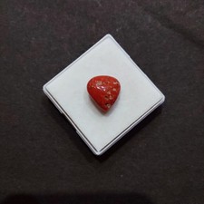 Cabochon corallo rosso