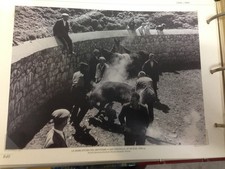 RIPRODUZIONE FOTO ALINARI