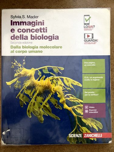 Immagini concetti della - e,