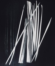 HANS HARTUNG litografia