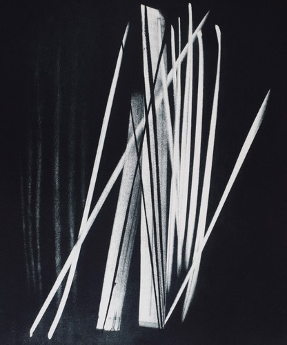 Hans hartung litografia - hans,
