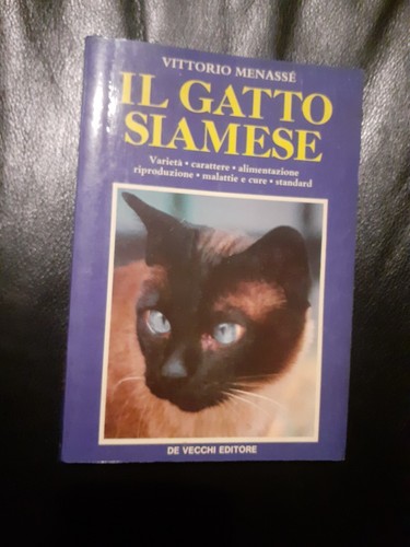 Gatto siamese vittorio - gatto,