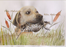 Pointer con beccaccia Illustrazione - Rita Matrella - Tecnica Mista