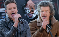 Harry Styles & Liam Payne Hand