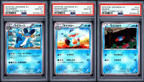 Psa swampert mashtomp - swampert,, &