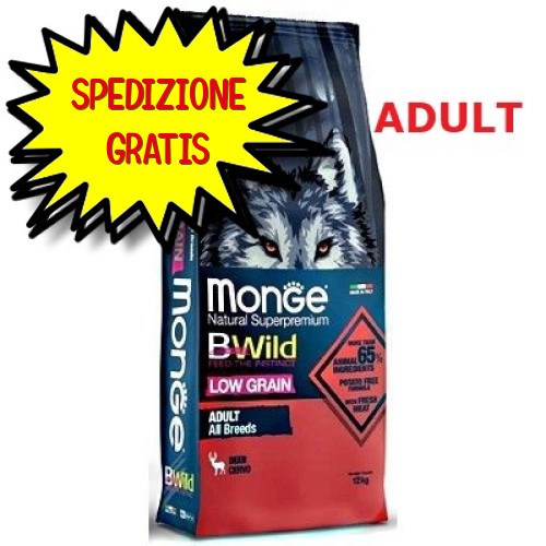 Monge cane crocchetta bwild - cane,