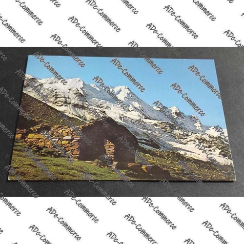 Cartolina cogne gran - -,