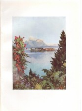 BAVENO LAGO MAGGIORE giardino con vista isola STAMPA ANTICA 1905 Antique print