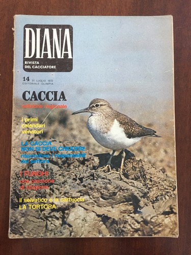 Diana rivista del - , cacciatore