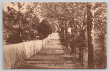 Cartolina Southern Pines NC