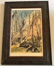 YOSEMITE EL CAPITAN/ACQUAFORTE