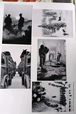 serie verde 5 cartoline 84 °