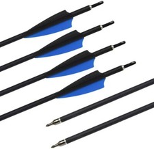 12 frecce in carbonio 30