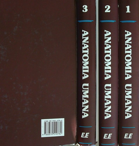 Anatomia umana 4vv edi - anatomia,