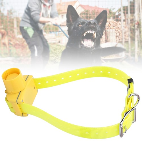 Collare beeper caccia cani - beeper,
