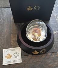 Il monarca e la fioritura