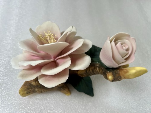 Rose gardenia porcellane - gardenia,