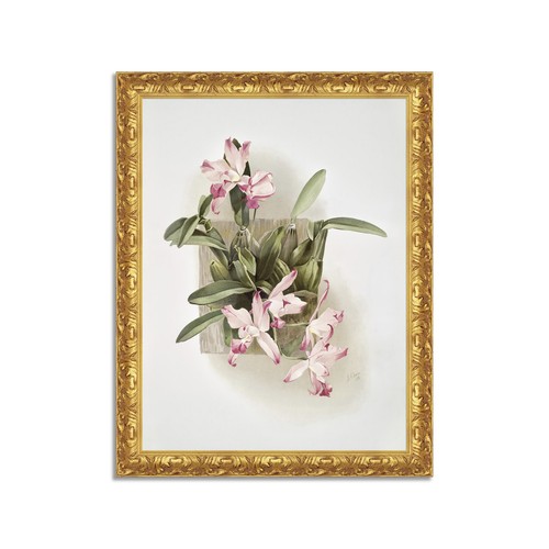 Quadro stampa tela effetto - su,