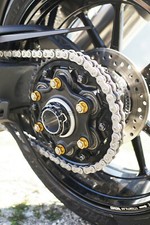 EVOTECH KIT 6 DADI CORONA