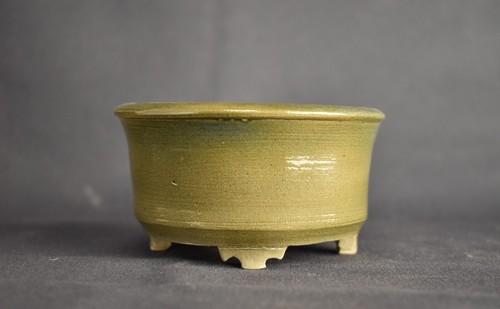 Vaso per bonsai 14x2 - vaso, 4,14x2,16