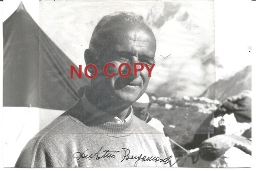 Bergamaschi don arturo - don,