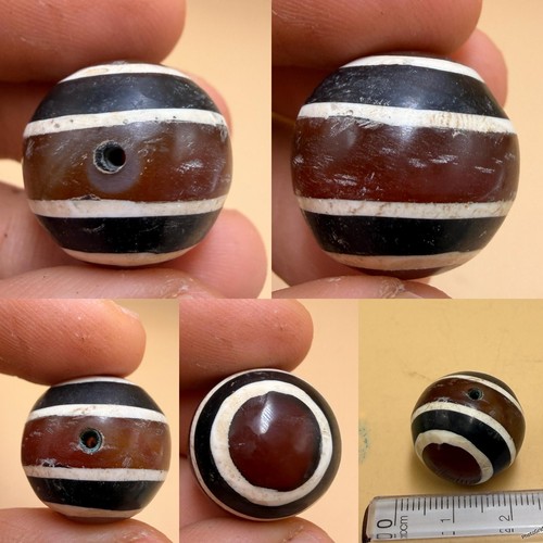 Occhio capra himalayano - di,