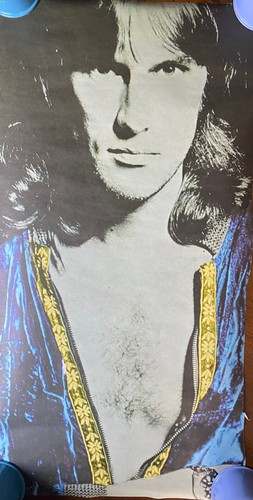 Poster rifinito 1969 - alvin, lee