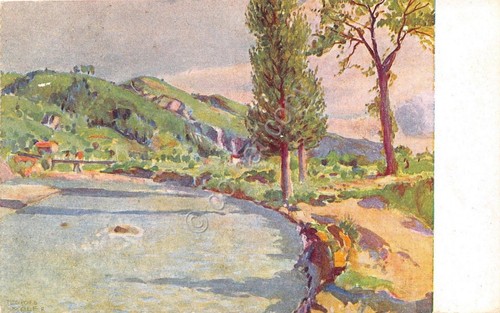 Cartolina illustrata wolf - cartolina,