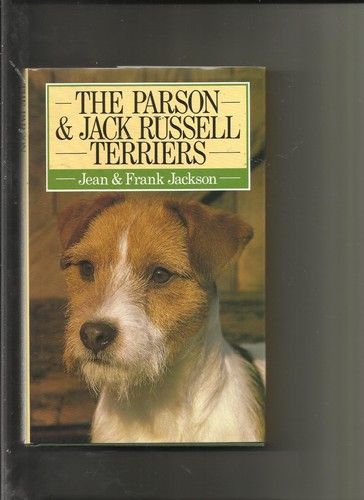 Parson jack russell te - &,
