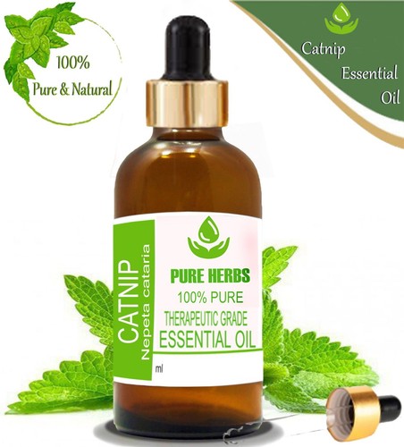 Olio essenziale nepeta - essenziale,