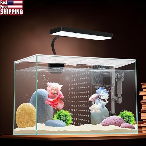 Serbatoio pesci betta - betta, 3