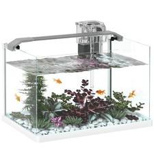 PawHut Acquario in Vetro con Luci LED da 20L, Filtro e Pompa d'Acqua Bianco