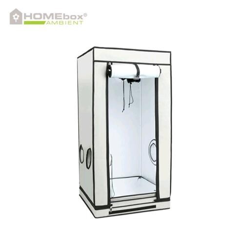 Homebox ambient q60 - ambient, q60+