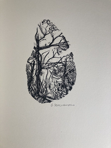 Gianfranco schialvino - gianfranco,
