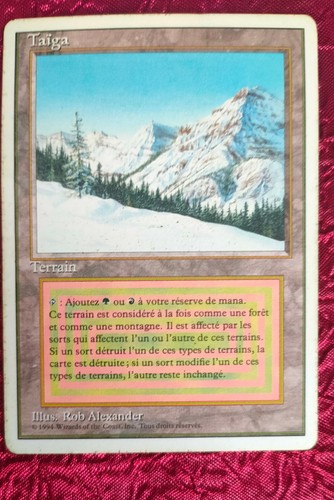 Magic mtg taïga foreign white - mtg,