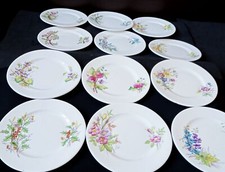 12 piatti da torta Royal