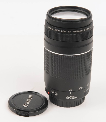Canon 300 5 6 - canon, f/4-5.6